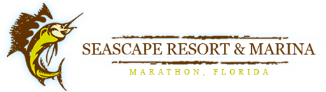 logo Seascape Resort and Marina - Hotel in Marathon FL